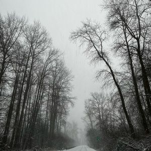 Meet your Posher, cali